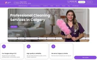 Cleaning Fairy