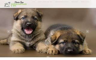Marda Loop Doggie Daycare