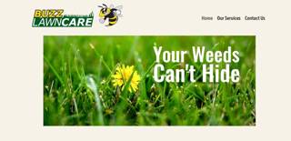 Buzz Lawn Care
